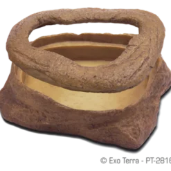 Maskeskål - Mealworm Feeder for reptiler Brun 13 x 9,5 x 4,5 cm