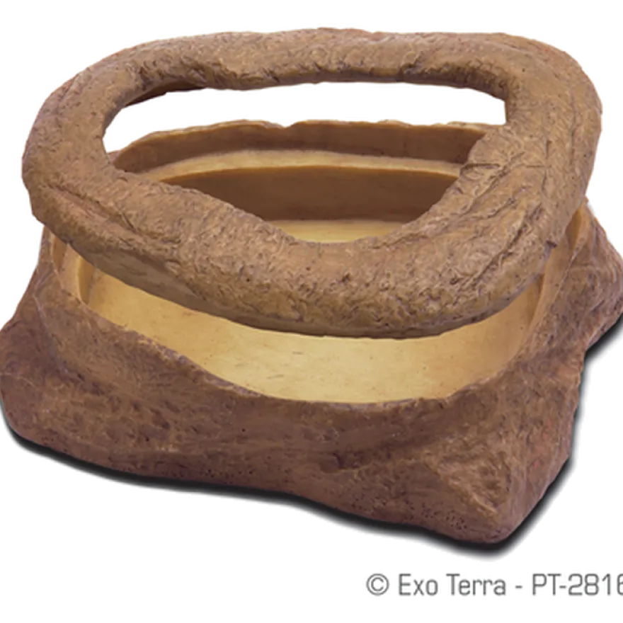 Maskeskål - Mealworm Feeder for reptiler Brun 13 x 9,5 x 4,5 cm