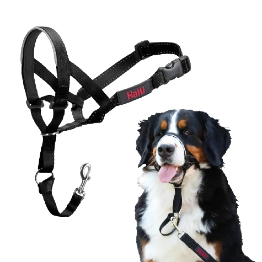 Mastiff nr. 4 Hals: 46-62 cm