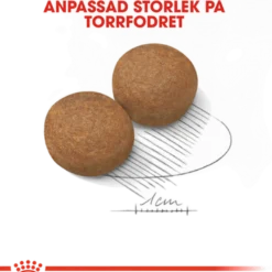 Maxi Adult tørrfôr for hunder 4 kg