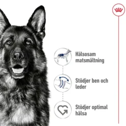 Maxi Adult tørrfôr for hunder 4 kg
