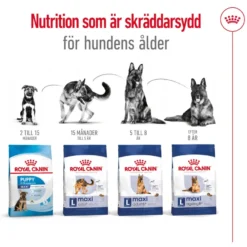 Maxi Adult tørrfôr for hunder 4 kg