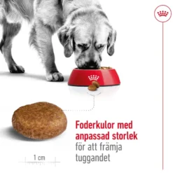 Maxi Adult 5+ tørrfôr for hunder 15 kg