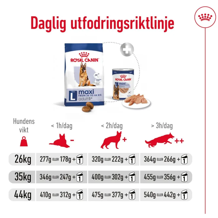 Maxi Adult 5+ tørrfôr for hunder 15 kg
