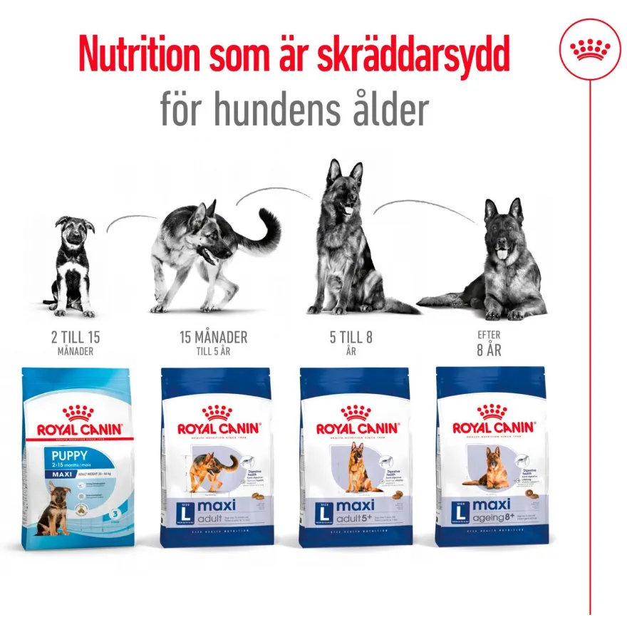 Maxi Ageing 8+ Ageing tørrfôr for hunder 15 kg