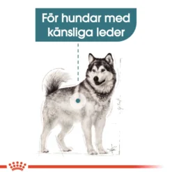 Maxi Joint Care 10 Kg