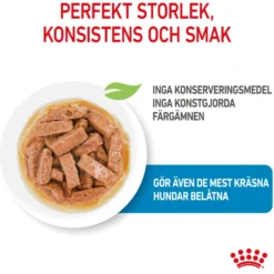 Maxi Puppy Gravy 10 x 140 g
