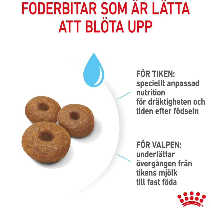 Maxi Starter tørrfôr for hunder 15 kg