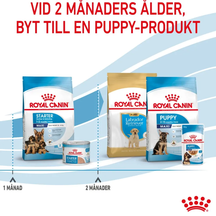 Maxi Starter tørrfôr for hunder 15 kg