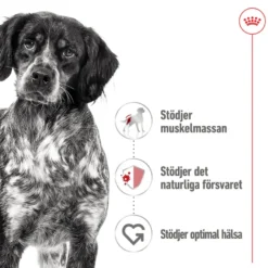 Medium Adult Loaf tørrfôr til hund 410 g