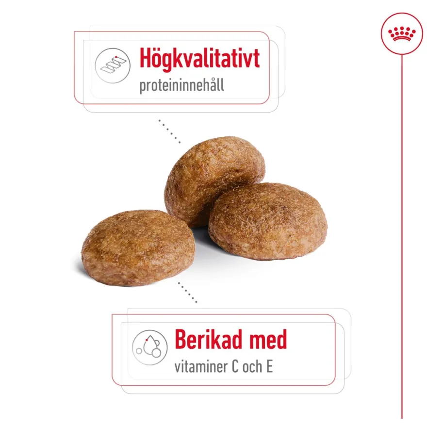 Medium Adult 7+ Tørrfôr for hunder 4 kg
