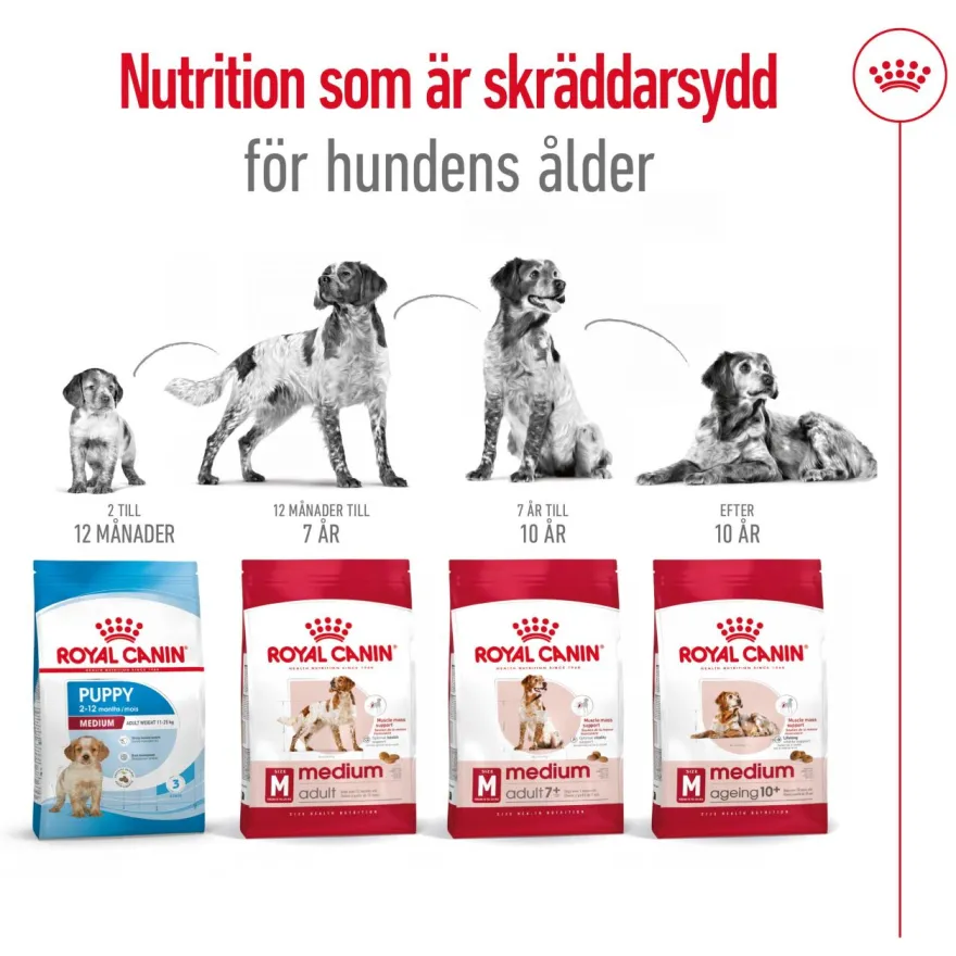 Medium Adult 7+ Tørrfôr for hunder 4 kg