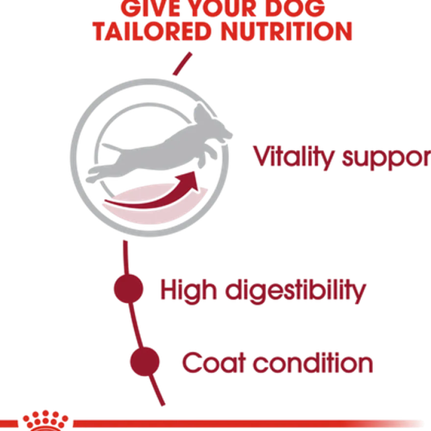 Medium Adult 7+ Tørrfôr for hunder 4 kg