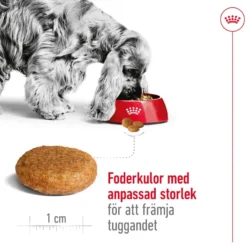 Medium Adult tørrfôr for hunder 15 kg