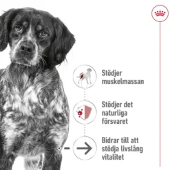 Medium Ageing 10+ Ageing Tørrfôr for hunder 15 kg