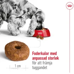 Medium Ageing 10+ Ageing Tørrfôr for hunder 15 kg