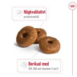 Medium Ageing 10+ Ageing Tørrfôr for hunder 15 kg