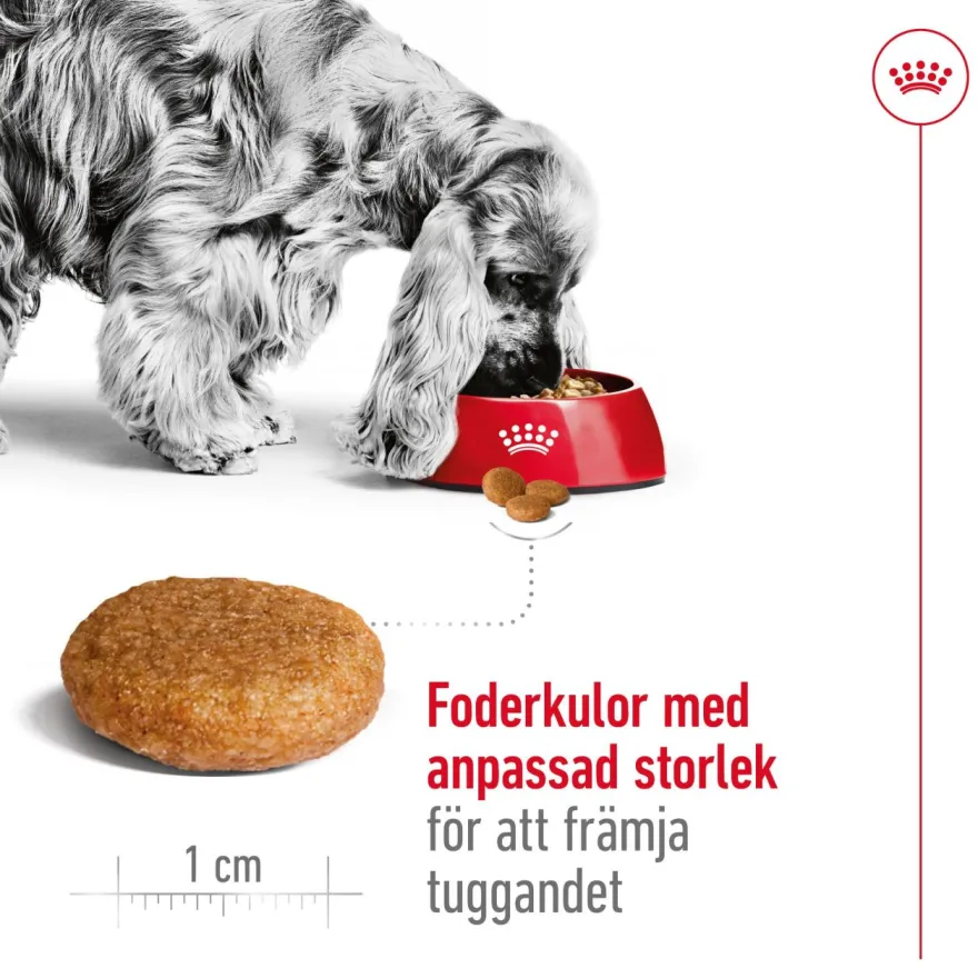 Medium Voksen 15 kg + 3 kg