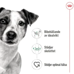 Mini Adult Loaf Våtfôr for hunder 195 g