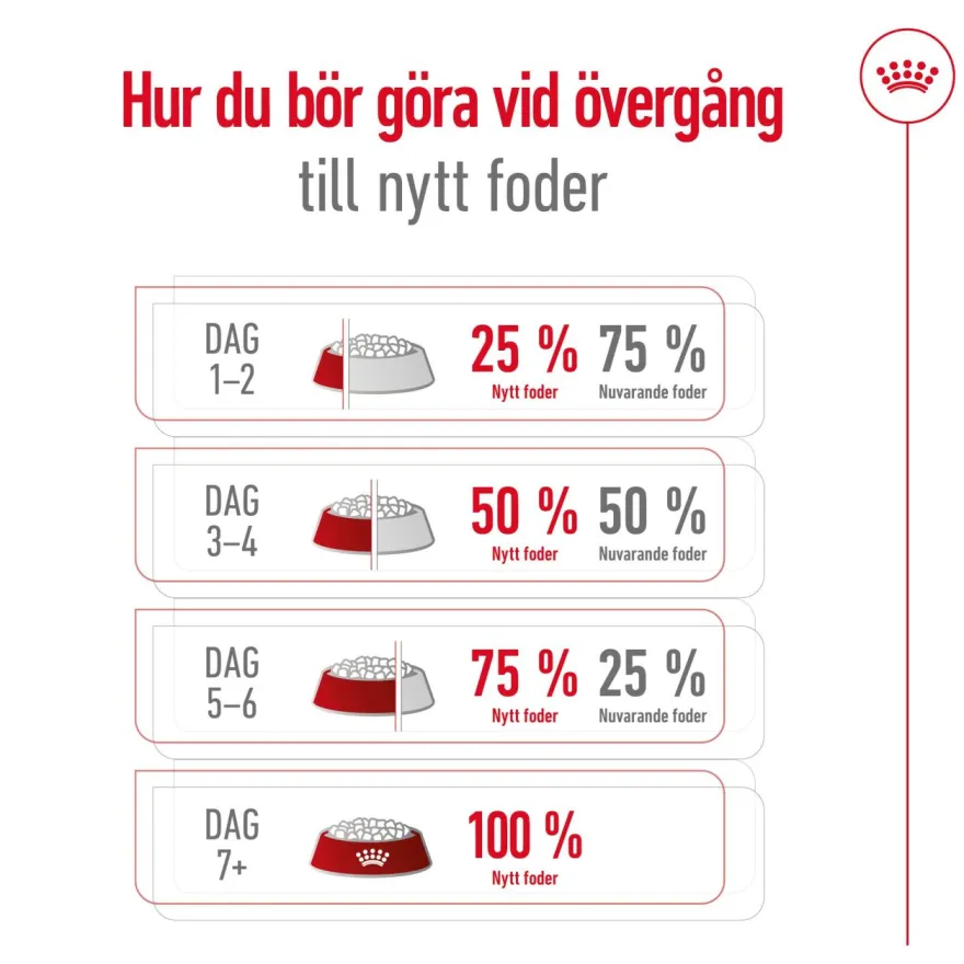Mini Adult tørrfôr for hunder 8 kg