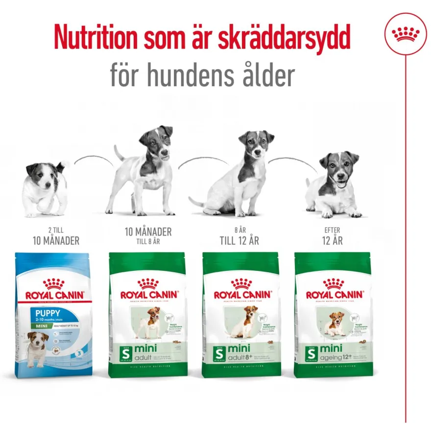 Mini Adult tørrfôr for hunder 8 kg