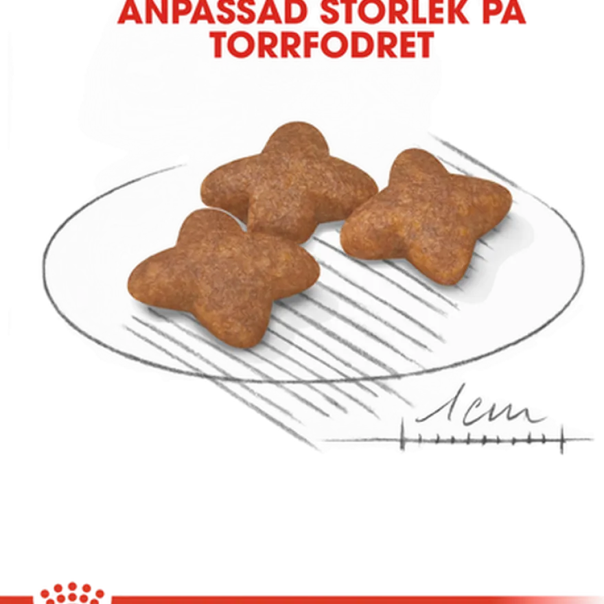Mini Adult tørrfôr for hunder 8 kg
