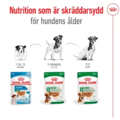 Mini Adult våtfôr for hunder 85 g x 12 stk