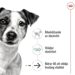 Mini Ageing Våtfôr for hunder 85 g x 12 stk