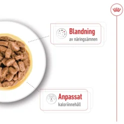 Mini Ageing Våtfôr for hunder 85 g x 12 stk
