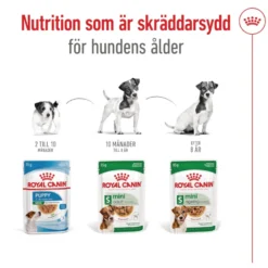 Mini Ageing Våtfôr for hunder 85 g x 12 stk