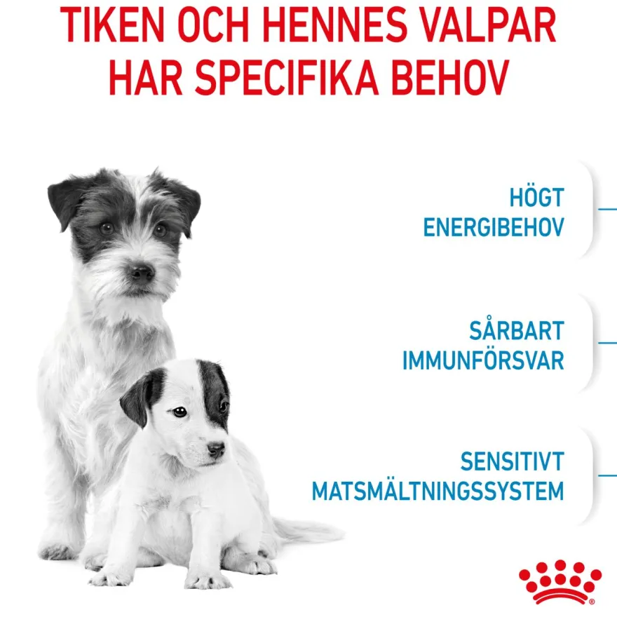 Mini Starter Mother & Babydog Tørrfôr for hunder 8 kg