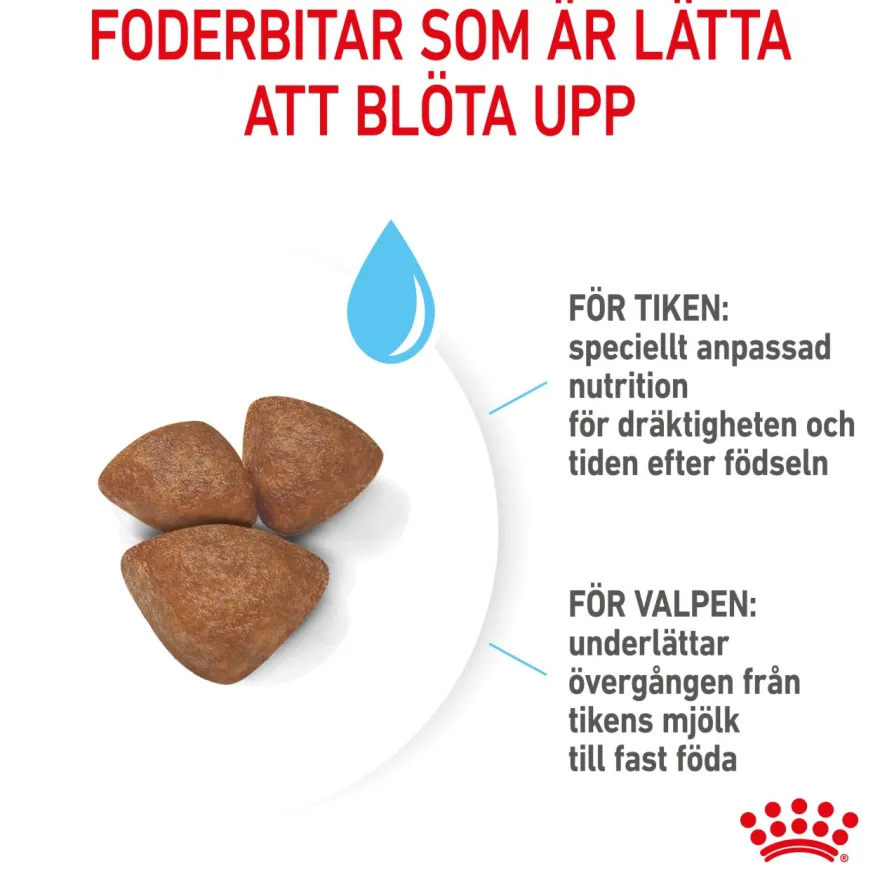 Mini Starter Mother & Babydog tørrfôr til hund 4 kg