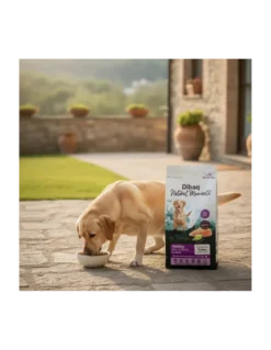 Natural Moments Dog Mobility 2kg
