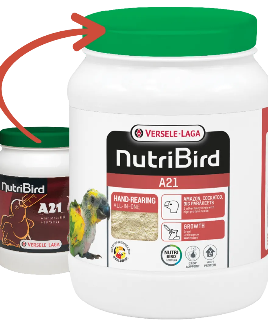 NutriBird A21 (håndfôring) 3 kg