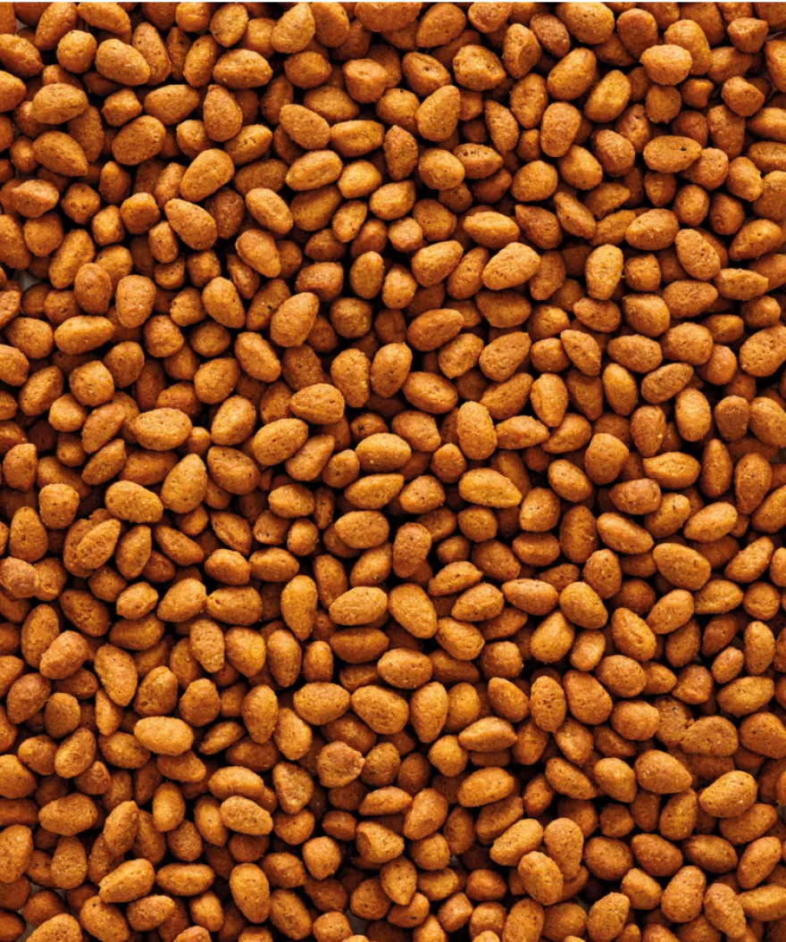 Nutribird G14 Original (parakitt) 1 kg