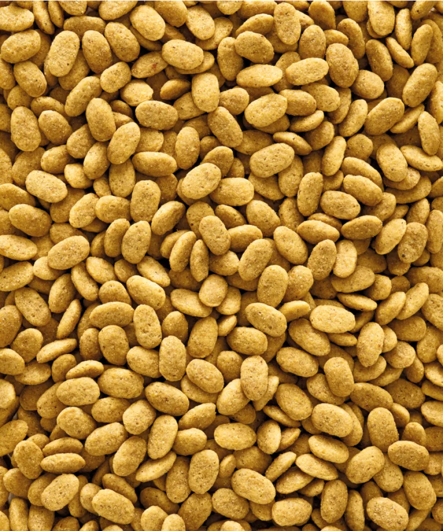 Nutribird P15 Original (papegøye) 3 kg