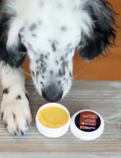 Paw care 100 ml
