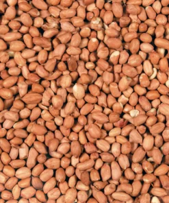 Peanøtt 1,4 kg