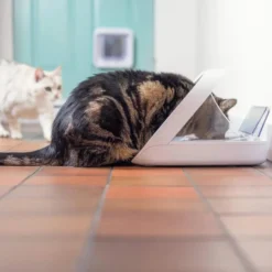 Pet feeder Connect med mikrochip