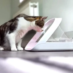 Pet feeder Connect med mikrochip