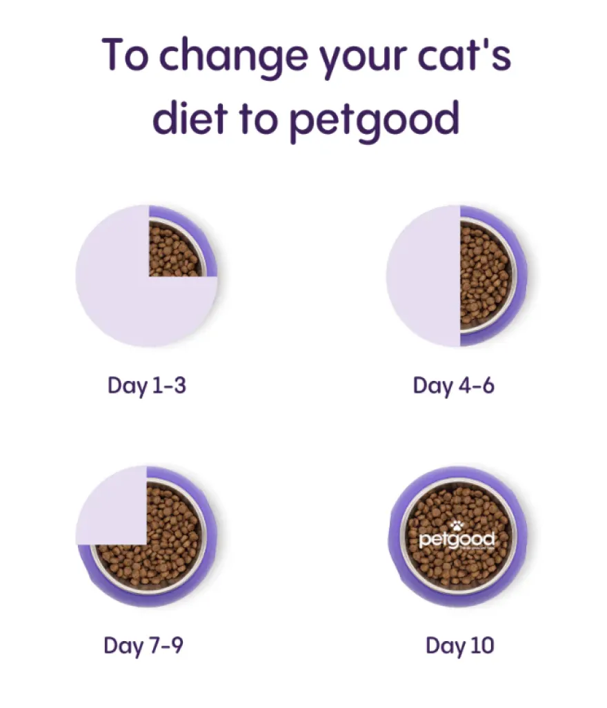 Petgood Insektbasert fullfôr til voksne katter 5 kg