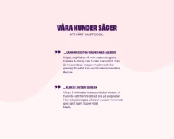 Petgood Insektsbasert helfôr til valper 5 kg