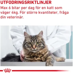 Pill Assist Cat 45 g