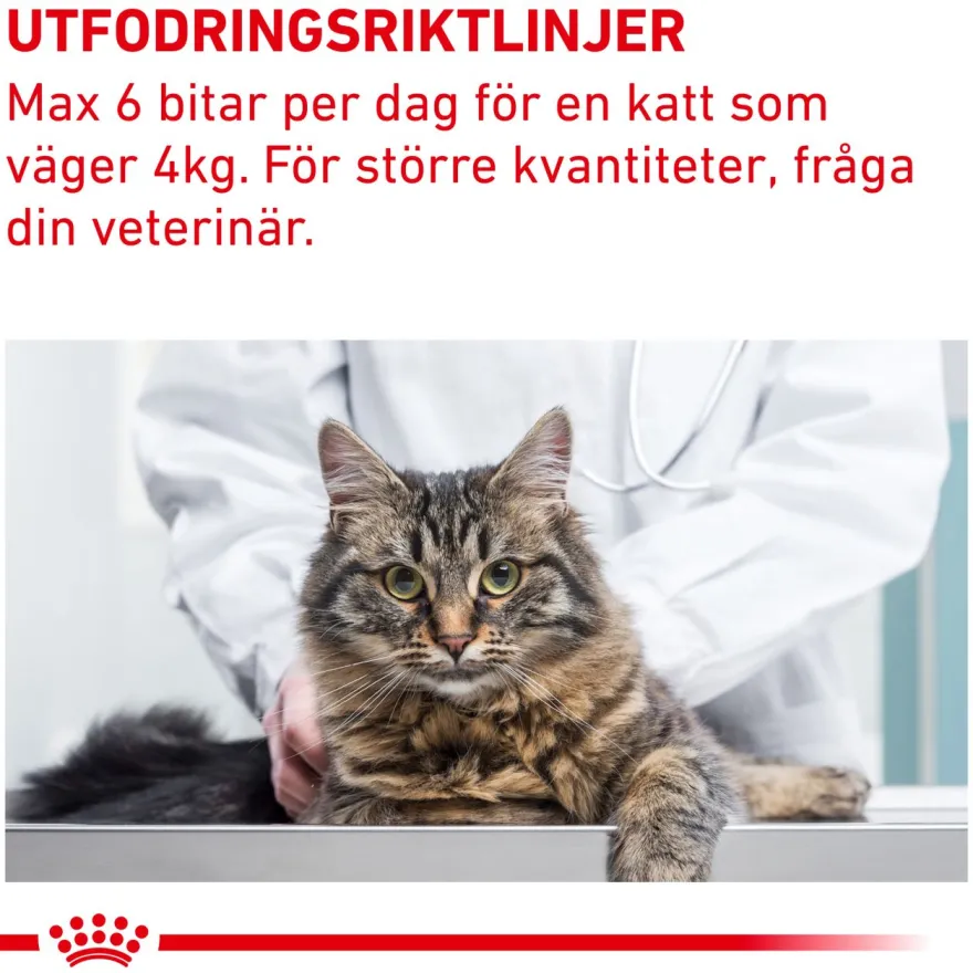 Pill Assist Cat 45 g