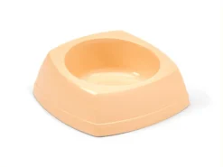 Plastic Bowl Nibble