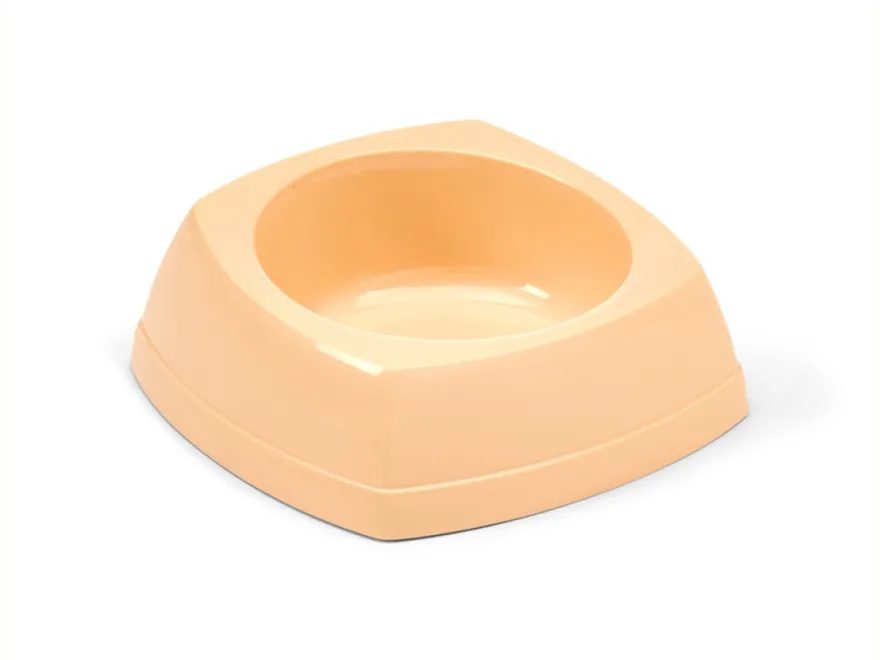 Plastic Bowl Nibble