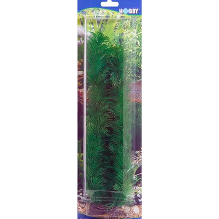 Plastplante Egeria 13 cm
