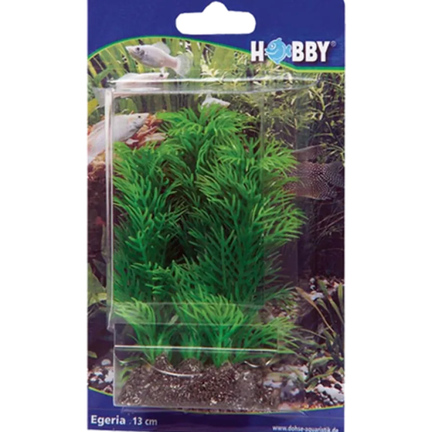 Plastplante Egeria 13 cm