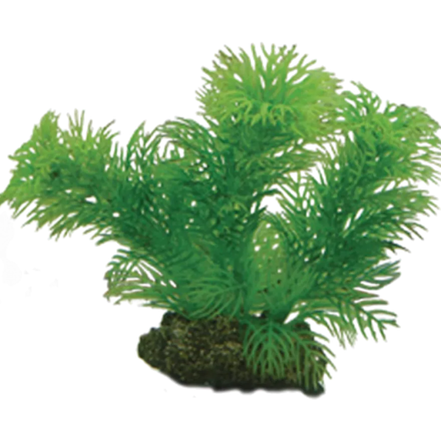 Plastplante Egeria 13 cm