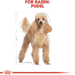 Poodle Adult tørrfôr for hunder 1,5 kg